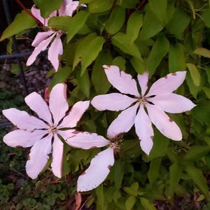 Meet your Posher, Eileen